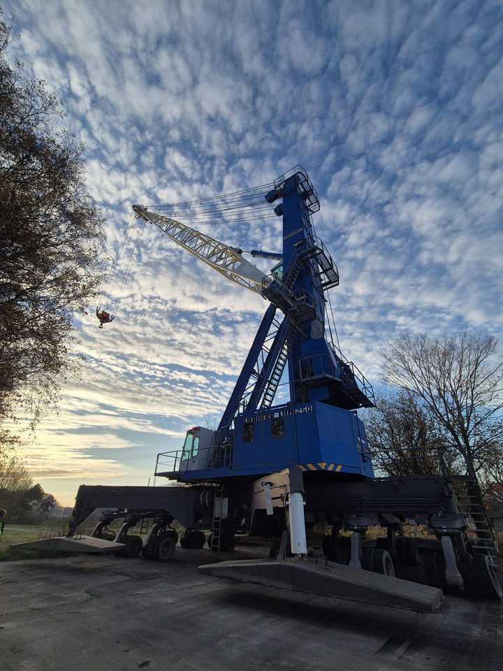 Liebherr LHM250 - Пристанищно оборудване: снимка 1 Liebherr LHM250 - Пристанищно оборудване: снимка 1