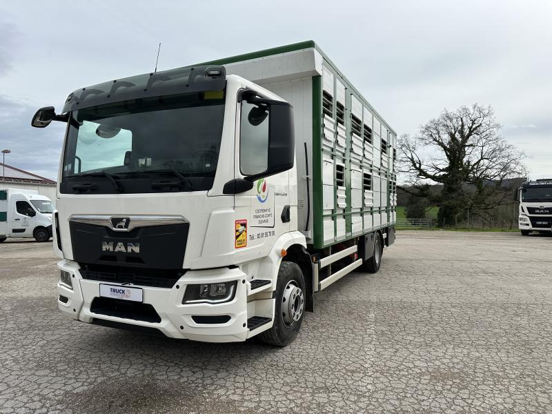 MAN M 90 15.290 TGM - За превоз на животни камион: снимка 1 MAN M 90 15.290 TGM - За превоз на животни камион: снимка 1