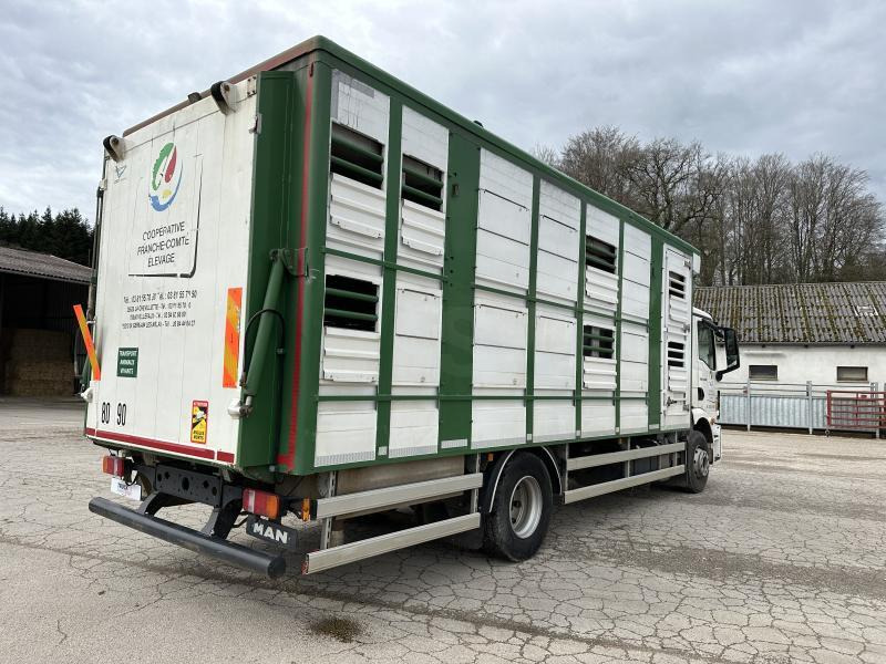 MAN M 90 15.290 TGM - За превоз на животни камион: снимка 5 MAN M 90 15.290 TGM - За превоз на животни камион: снимка 5