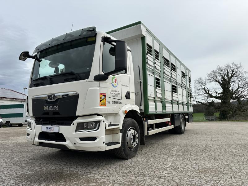 MAN TGM 15.290 - За превоз на животни камион: снимка 3 MAN TGM 15.290 - За превоз на животни камион: снимка 3