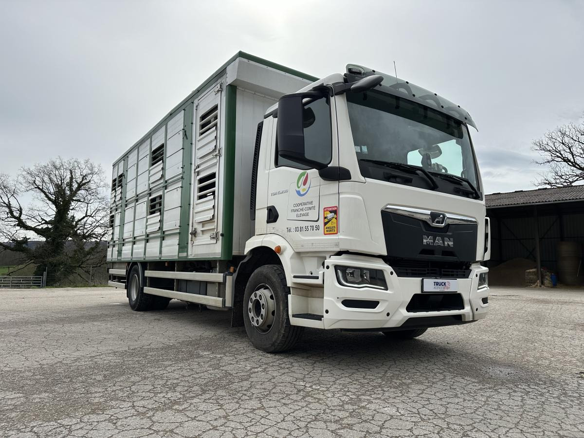 MAN TGM 15.290 - За превоз на животни камион: снимка 4 MAN TGM 15.290 - За превоз на животни камион: снимка 4