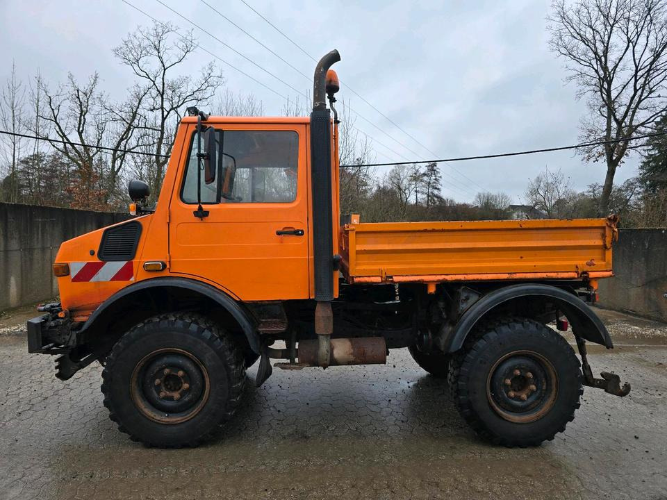 Unimog U1400 Agrar bj. 1995 424 427/10 Mercedes-Benz 1400 1600 1200 1000 - Самосвал камион, Комунална/ Специална техника: снимка 5 Unimog U1400 Agrar bj. 1995 424 427/10 Mercedes-Benz 1400 1600 1200 1000 - Самосвал камион, Комунална/ Специална техника: снимка 5