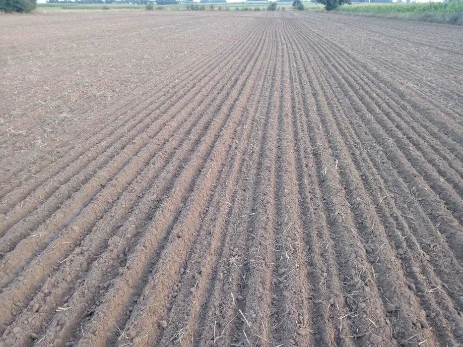 Lemken Karat 9/500 agregat bezorkowy - Машина за обработка на почвата: снимка 2 Lemken Karat 9/500 agregat bezorkowy - Машина за обработка на почвата: снимка 2