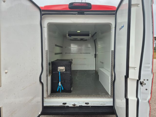 Хладилен бус Fiat Ducato Refrigerated Van: снимка 13