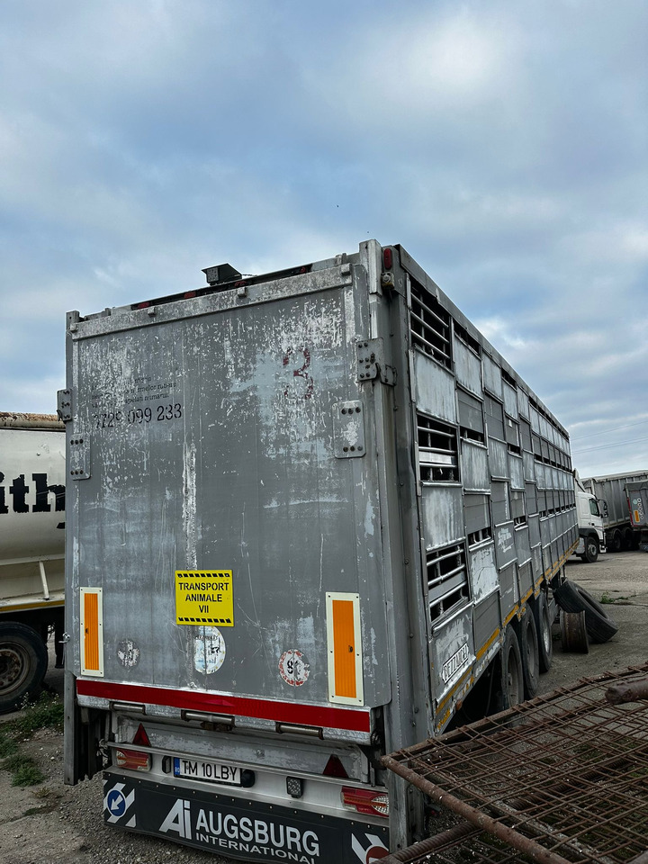 PEZZAIOLLI Animal Transport Semi-trailer - За превоз на животни полуремарке: снимка 3 PEZZAIOLLI Animal Transport Semi-trailer - За превоз на животни полуремарке: снимка 3