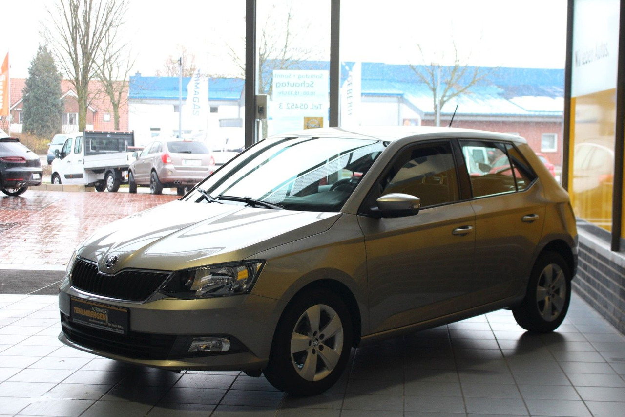 Skoda Fabia Ambition Klima Tempomat Bluetooth - Седан: снимка 4 Skoda Fabia Ambition Klima Tempomat Bluetooth - Седан: снимка 4