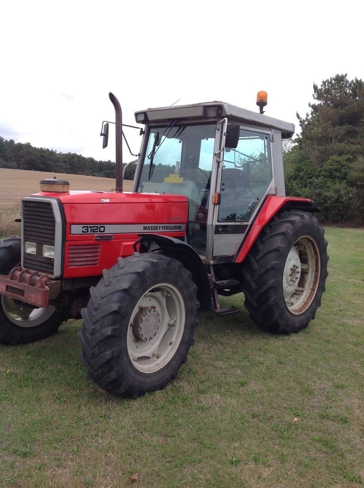 Massey Ferguson 3120 - Трактор: снимка 1 Massey Ferguson 3120 - Трактор: снимка 1