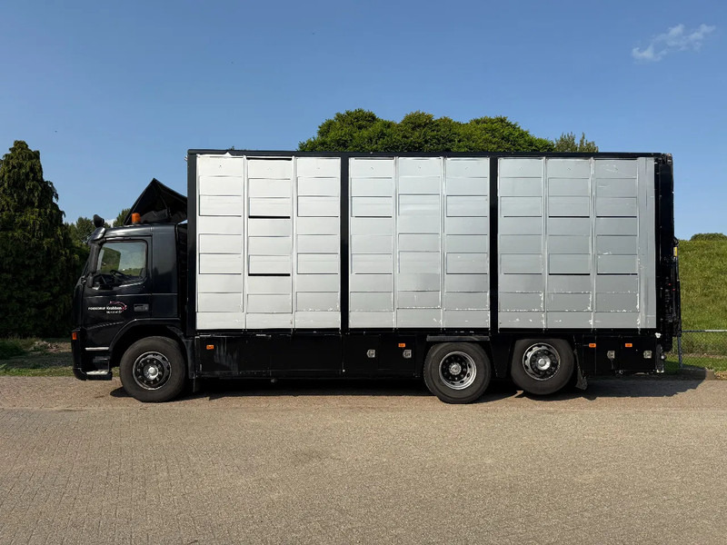 Volvo FM 300 Livestock Cuppers 3 laags 6x2 - За превоз на животни камион: снимка 4 Volvo FM 300 Livestock Cuppers 3 laags 6x2 - За превоз на животни камион: снимка 4