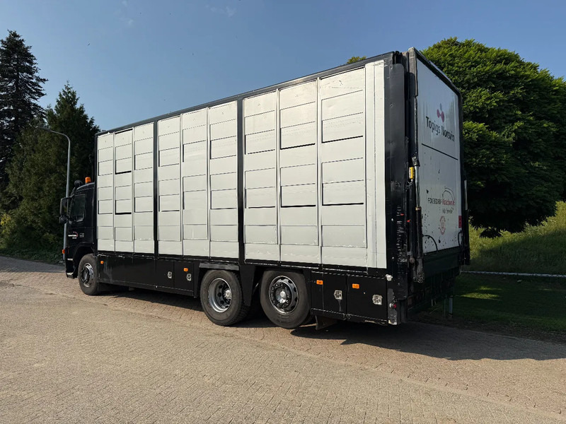 Volvo FM 300 Livestock Cuppers 3 laags 6x2 - За превоз на животни камион: снимка 5 Volvo FM 300 Livestock Cuppers 3 laags 6x2 - За превоз на животни камион: снимка 5