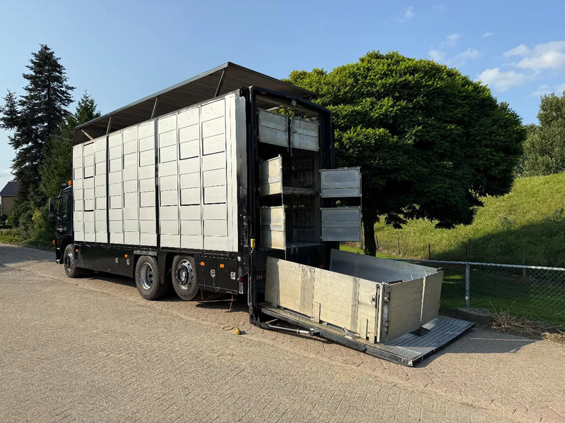Volvo FM 300 Livestock Cuppers 3 laags 6x2 - За превоз на животни камион: снимка 2 Volvo FM 300 Livestock Cuppers 3 laags 6x2 - За превоз на животни камион: снимка 2