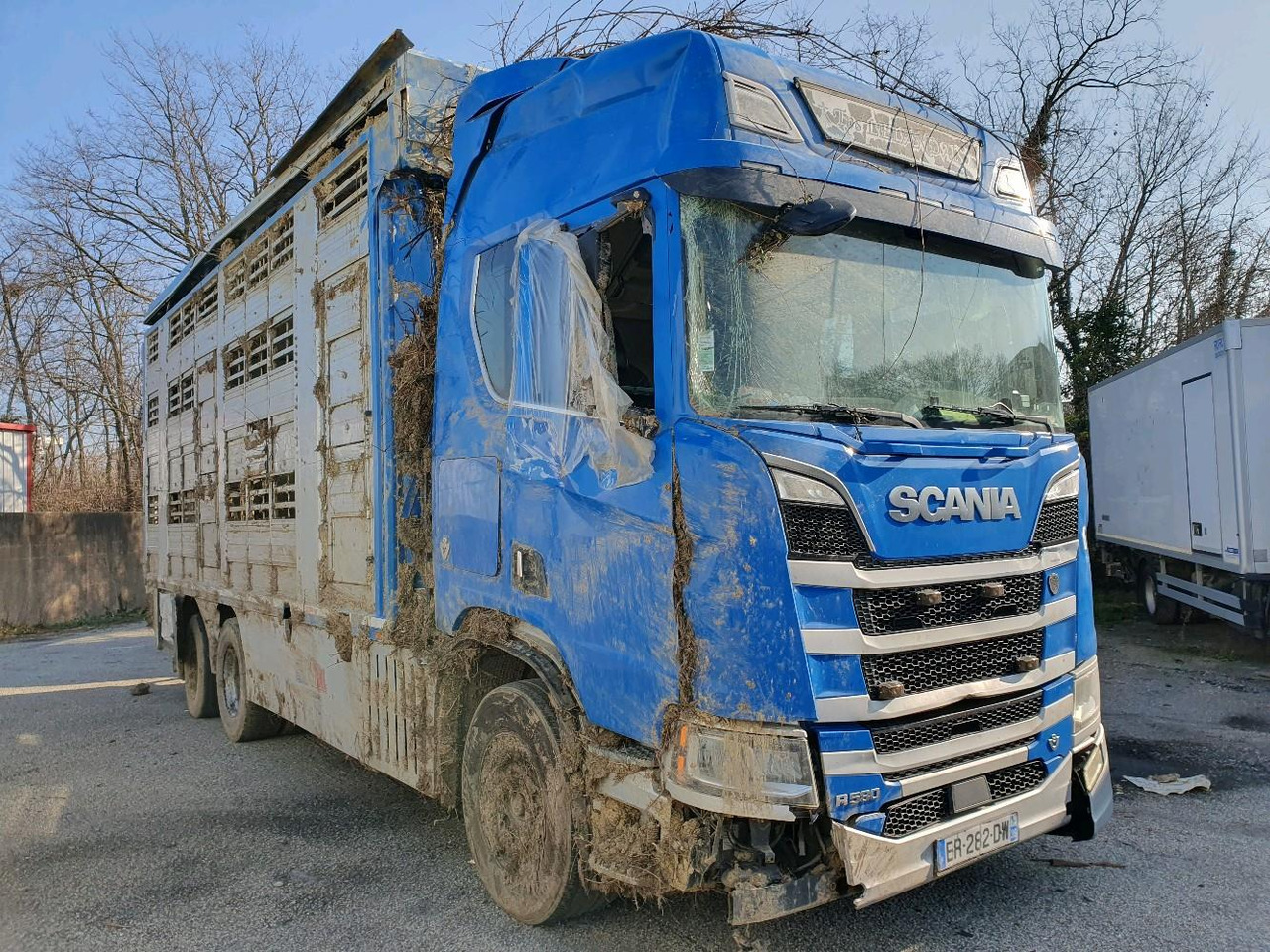 SCANIA R580 - За превоз на животни камион: снимка 1 SCANIA R580 - За превоз на животни камион: снимка 1