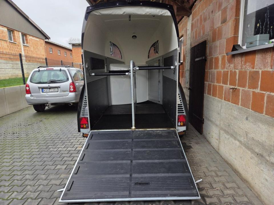 Böckmann Pferdeanhänger Champion R SaKa. WCF-Fahrwerk 100 km/h - Ремарке за коне: снимка 4 Böckmann Pferdeanhänger Champion R SaKa. WCF-Fahrwerk 100 km/h - Ремарке за коне: снимка 4