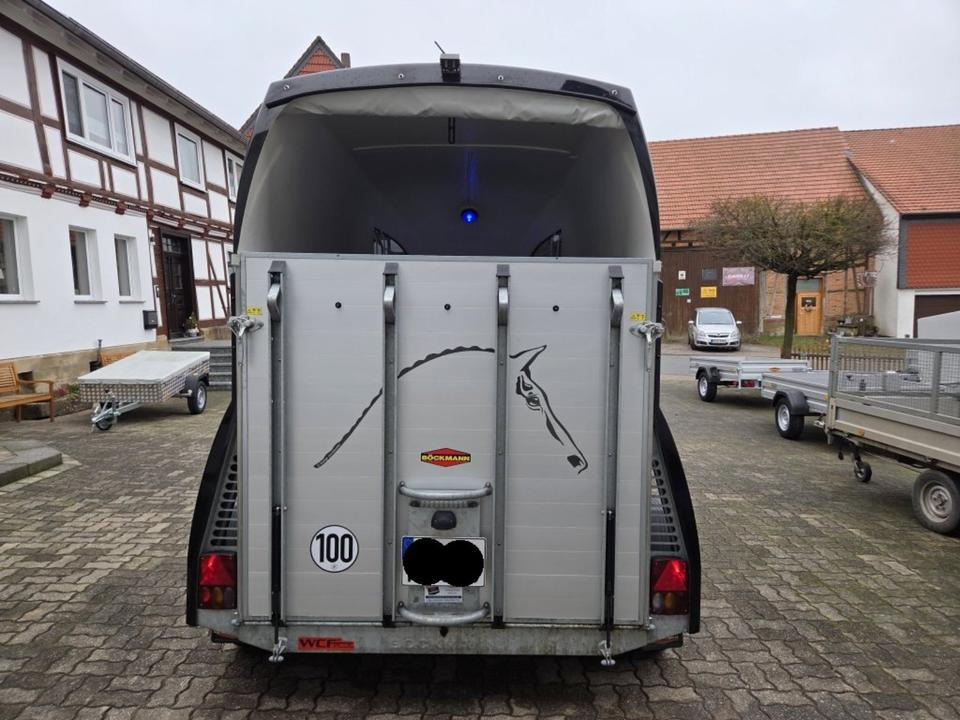 Böckmann Pferdeanhänger Champion R SaKa. WCF-Fahrwerk 100 km/h - Ремарке за коне: снимка 3 Böckmann Pferdeanhänger Champion R SaKa. WCF-Fahrwerk 100 km/h - Ремарке за коне: снимка 3