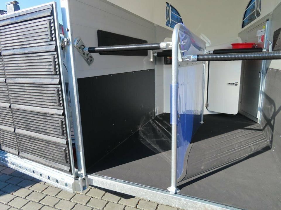 Böckmann, Pferdeanhänger, der neue Big Champion WCF 2025 - Ремарке за коне: снимка 5 Böckmann, Pferdeanhänger, der neue Big Champion WCF 2025 - Ремарке за коне: снимка 5