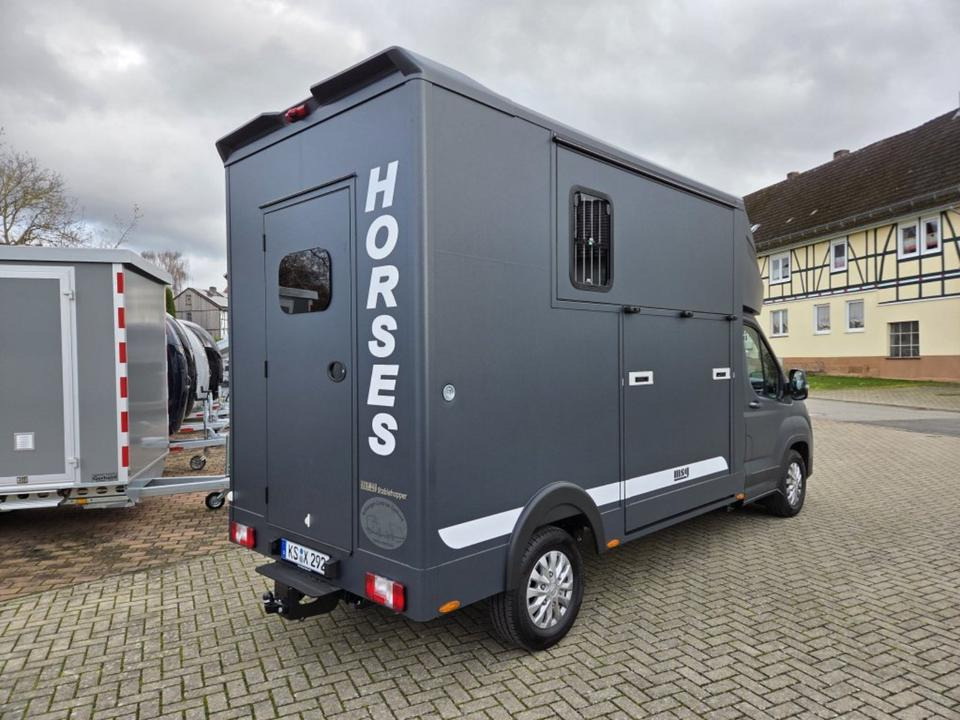 Камион за коне MSG Stablehopper Pferdetransporter Pferdeanhänger Böckmann: снимка 6 Камион за коне MSG Stablehopper Pferdetransporter Pferdeanhänger Böckmann: снимка 6