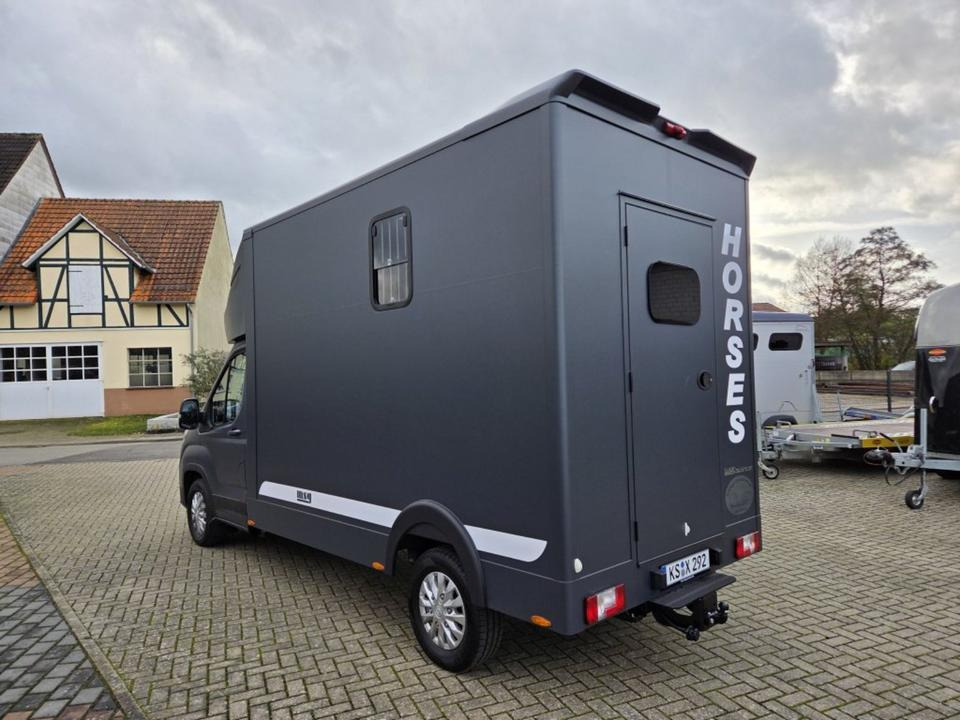 Камион за коне MSG Stablehopper Pferdetransporter Pferdeanhänger Böckmann: снимка 7 Камион за коне MSG Stablehopper Pferdetransporter Pferdeanhänger Böckmann: снимка 7