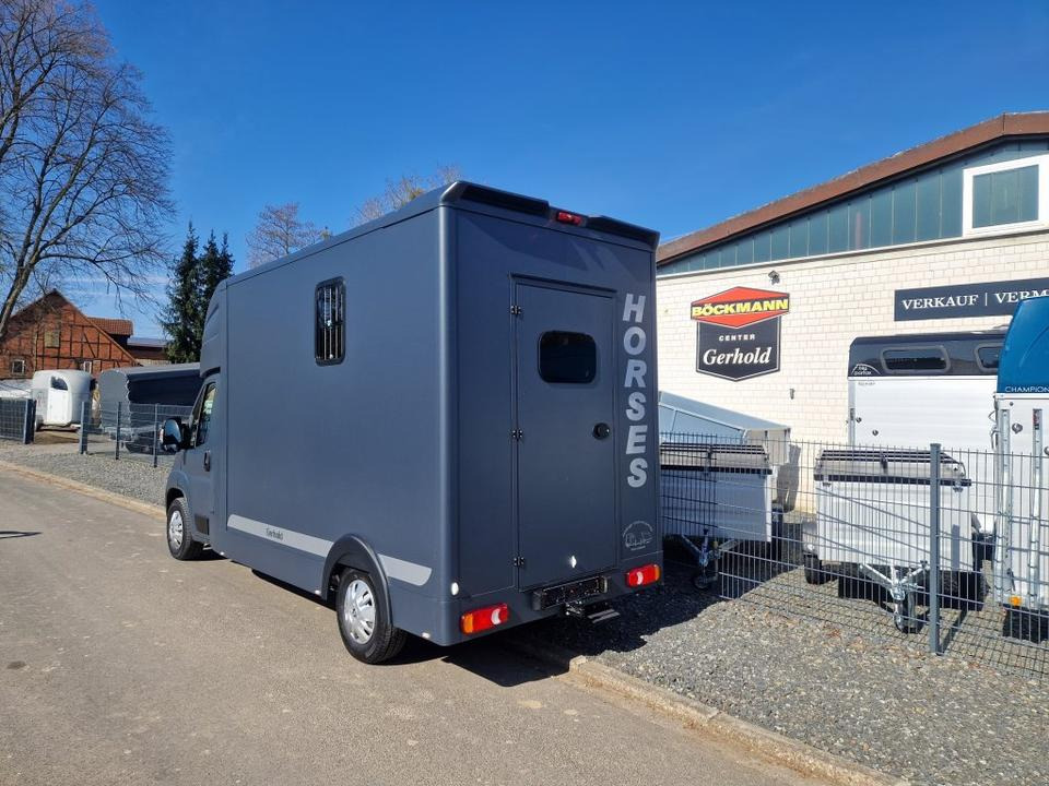 MSG Stablehopper Pferdetransporter Pferdeanhänger Böckmann - Камион за коне: снимка 4 MSG Stablehopper Pferdetransporter Pferdeanhänger Böckmann - Камион за коне: снимка 4