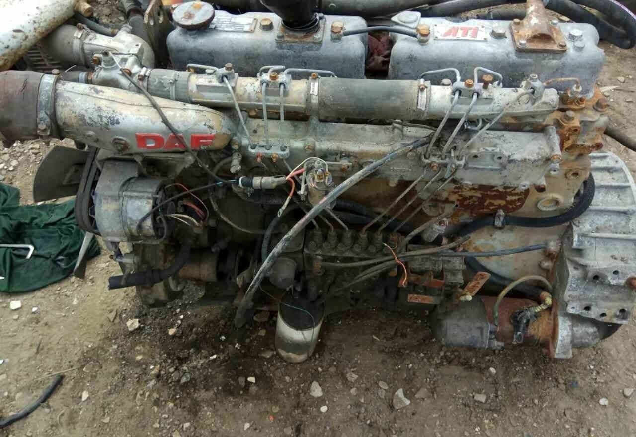 DAF ATI WS259 E2 DAF - Двигател за Камион: снимка 1 DAF ATI WS259 E2 DAF - Двигател за Камион: снимка 1