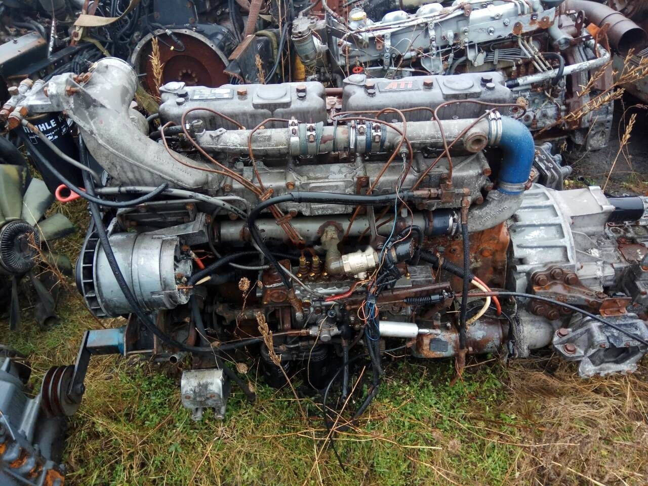 DAF ATI WS315M DAF 95 - Двигател за Камион: снимка 1 DAF ATI WS315M DAF 95 - Двигател за Камион: снимка 1