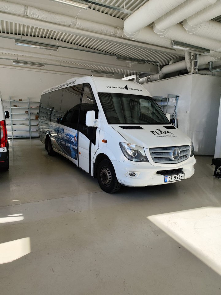 MERCEDES-BENZ SPRINTER 519 - Микробус, Пътнически бус: снимка 2 MERCEDES-BENZ SPRINTER 519 - Микробус, Пътнически бус: снимка 2