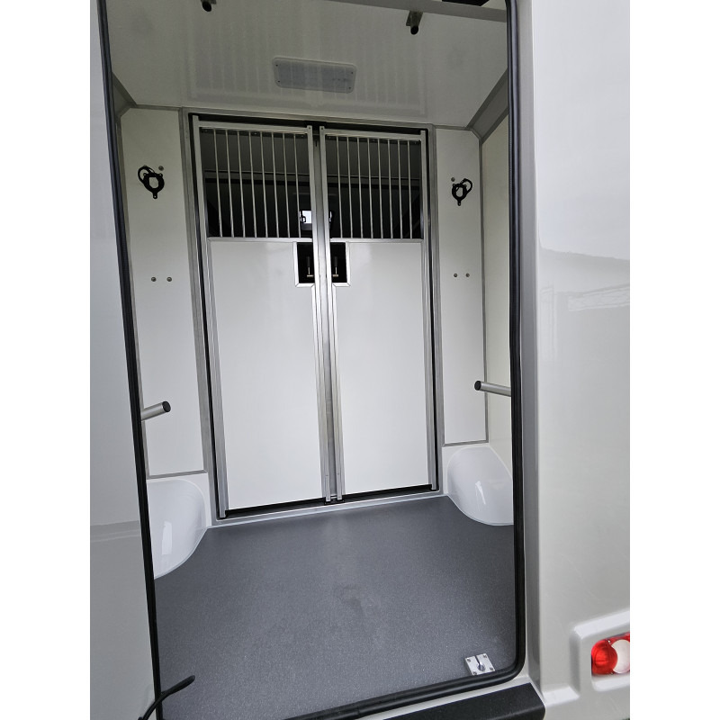 Opel Movano AKX by Stephex - Камион за коне: снимка 4 Opel Movano AKX by Stephex - Камион за коне: снимка 4