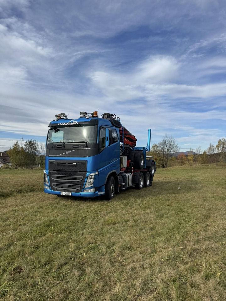 VOLVO FH540 - Камион за дърва, Камион с кран: снимка 2 VOLVO FH540 - Камион за дърва, Камион с кран: снимка 2