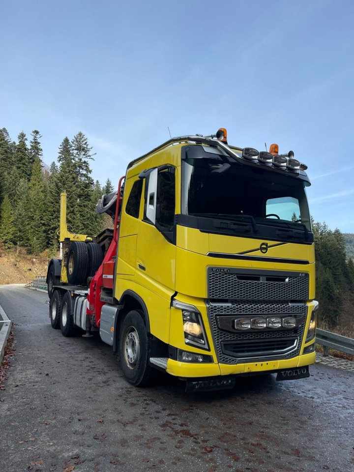 VOLVO FH16 650 - Влекач, Ремарке за дърва: снимка 3 VOLVO FH16 650 - Влекач, Ремарке за дърва: снимка 3