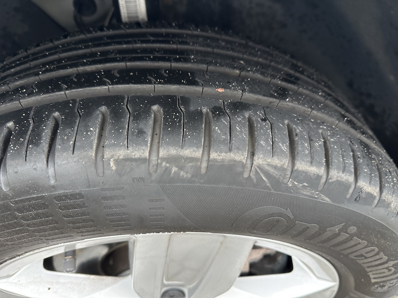 VW Caddy Maxi Paravan Umbau Rollstuhl Heckeinstieg - Бус с двойна кабина: снимка 4 VW Caddy Maxi Paravan Umbau Rollstuhl Heckeinstieg - Бус с двойна кабина: снимка 4