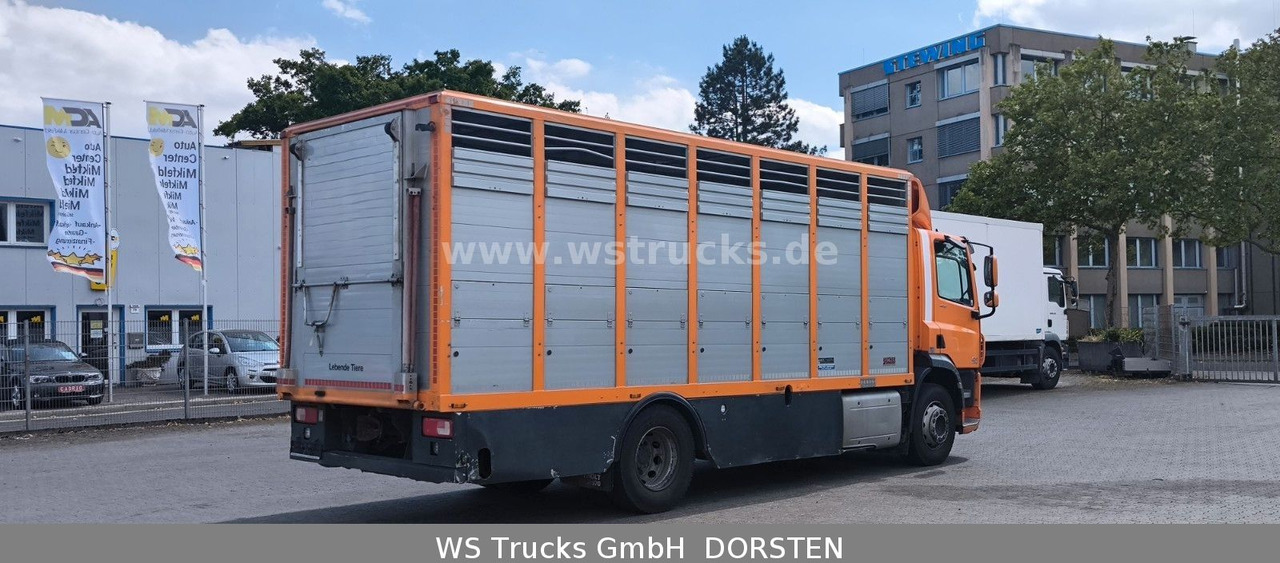 DAF CF 400 Menke Einstock - Камион за коне: снимка 5 DAF CF 400 Menke Einstock - Камион за коне: снимка 5
