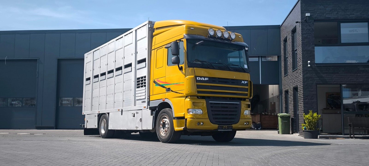 DAF XF 410 SC Menke Doppelstock - Камион за коне: снимка 4 DAF XF 410 SC Menke Doppelstock - Камион за коне: снимка 4
