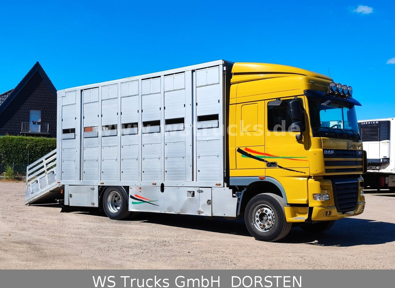 DAF XF 410 SC Menke Doppelstock - Камион за коне: снимка 5 DAF XF 410 SC Menke Doppelstock - Камион за коне: снимка 5