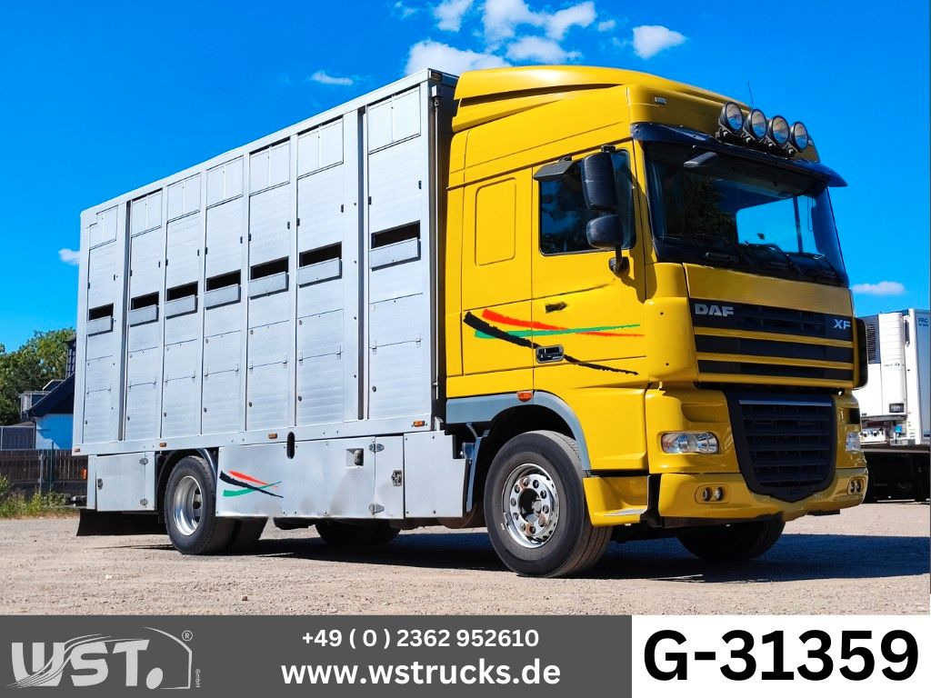 DAF XF 410 SC Menke Doppelstock - Камион за коне: снимка 1 DAF XF 410 SC Menke Doppelstock - Камион за коне: снимка 1