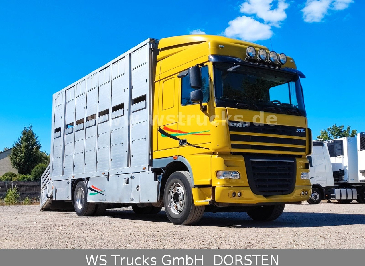 DAF XF 410 SC Menke Doppelstock - Камион за коне: снимка 3 DAF XF 410 SC Menke Doppelstock - Камион за коне: снимка 3