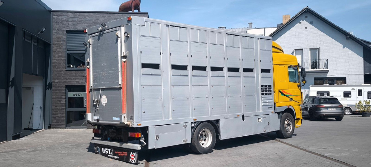 DAF XF 410 SC Menke Doppelstock - Камион за коне: снимка 3 DAF XF 410 SC Menke Doppelstock - Камион за коне: снимка 3