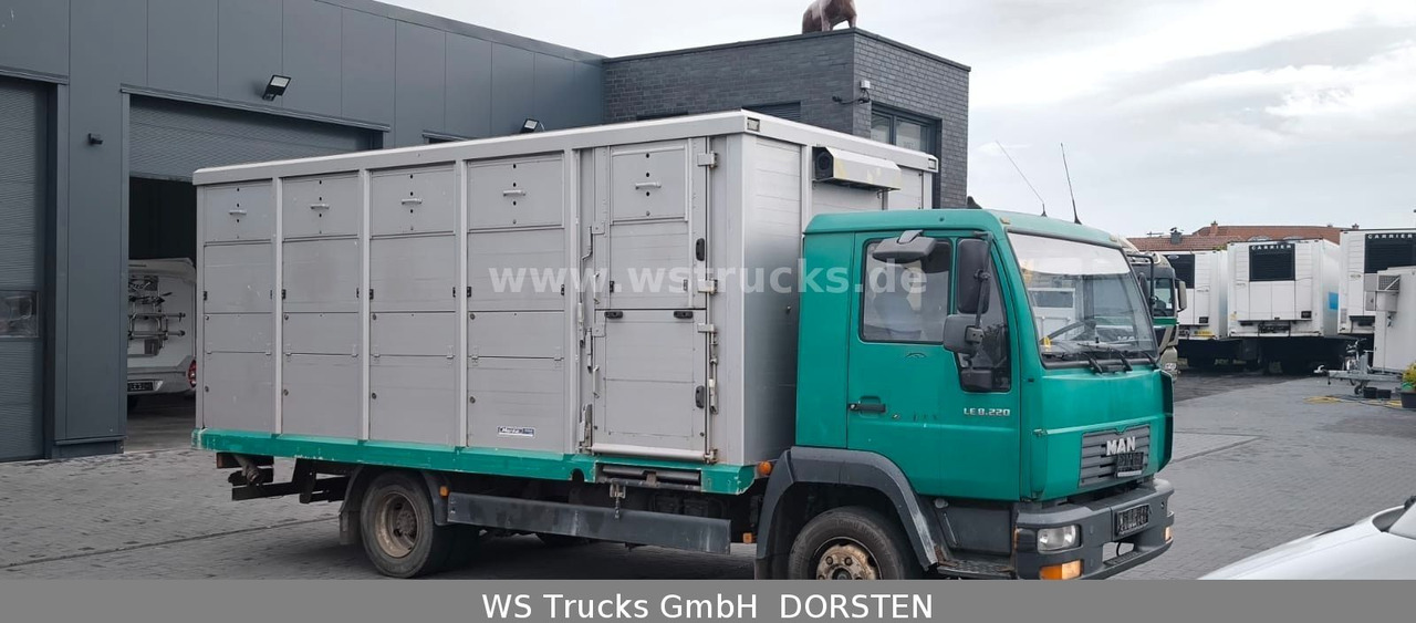MAN LE 8.220 Menke Einstock Großvieh - За превоз на животни камион: снимка 2 MAN LE 8.220 Menke Einstock Großvieh - За превоз на животни камион: снимка 2