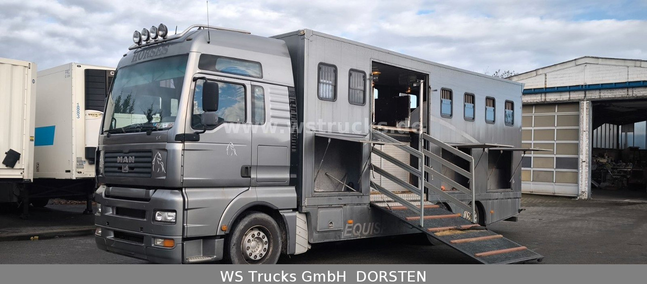 MAN TGA 26.480 FG 6x2 Pferdetransporter Luft/Luft - Камион за коне: снимка 1 MAN TGA 26.480 FG 6x2 Pferdetransporter Luft/Luft - Камион за коне: снимка 1