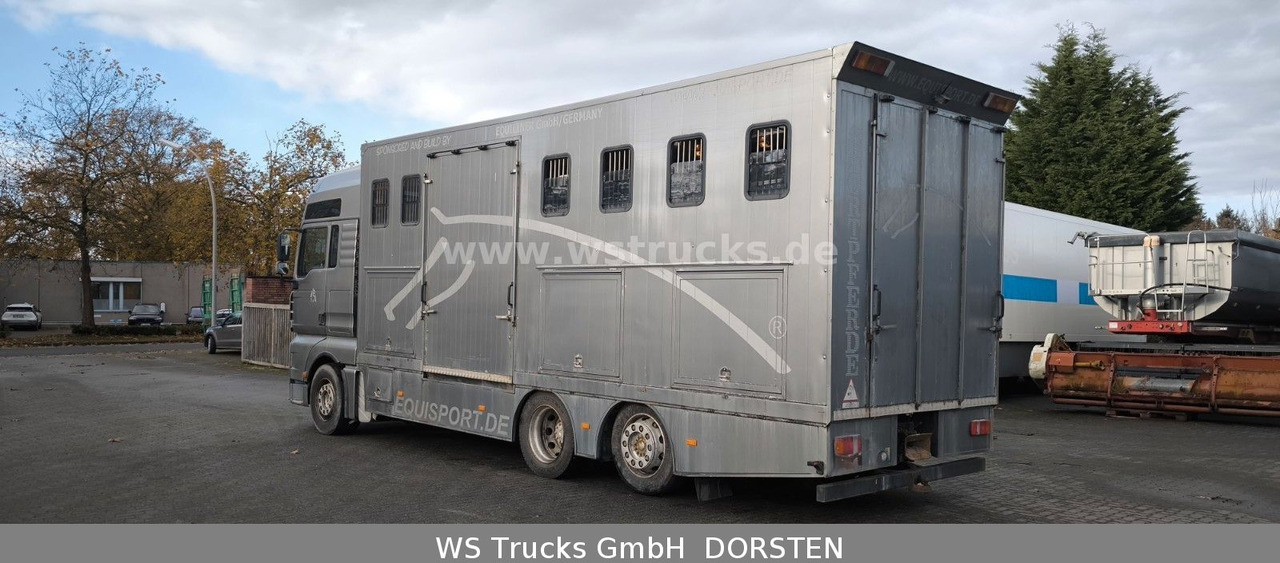 MAN TGA 26.480 FG 6x2 Pferdetransporter Luft/Luft - Камион за коне: снимка 5 MAN TGA 26.480 FG 6x2 Pferdetransporter Luft/Luft - Камион за коне: снимка 5