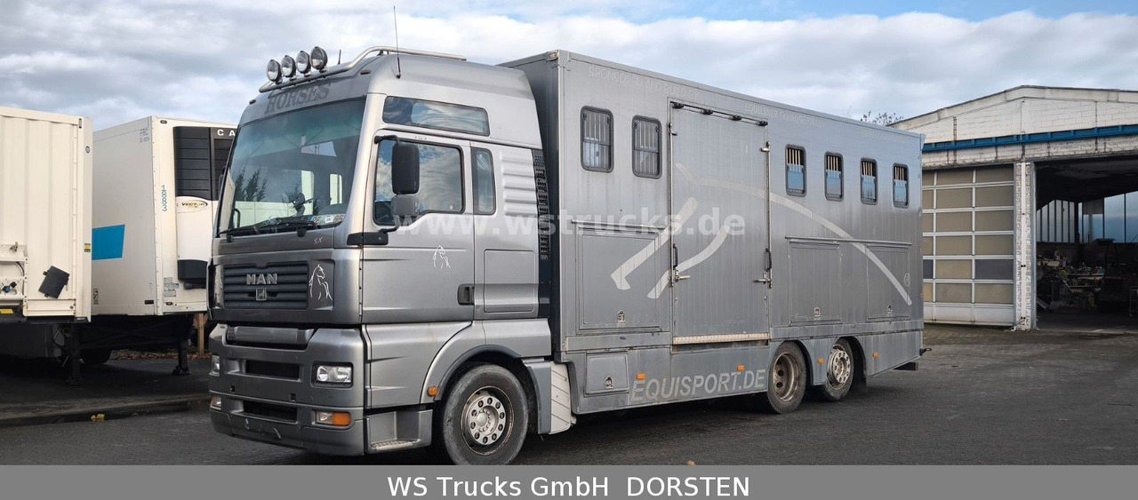 MAN TGA 26.480 FG 6x2 Pferdetransporter Luft/Luft - Камион за коне: снимка 2 MAN TGA 26.480 FG 6x2 Pferdetransporter Luft/Luft - Камион за коне: снимка 2