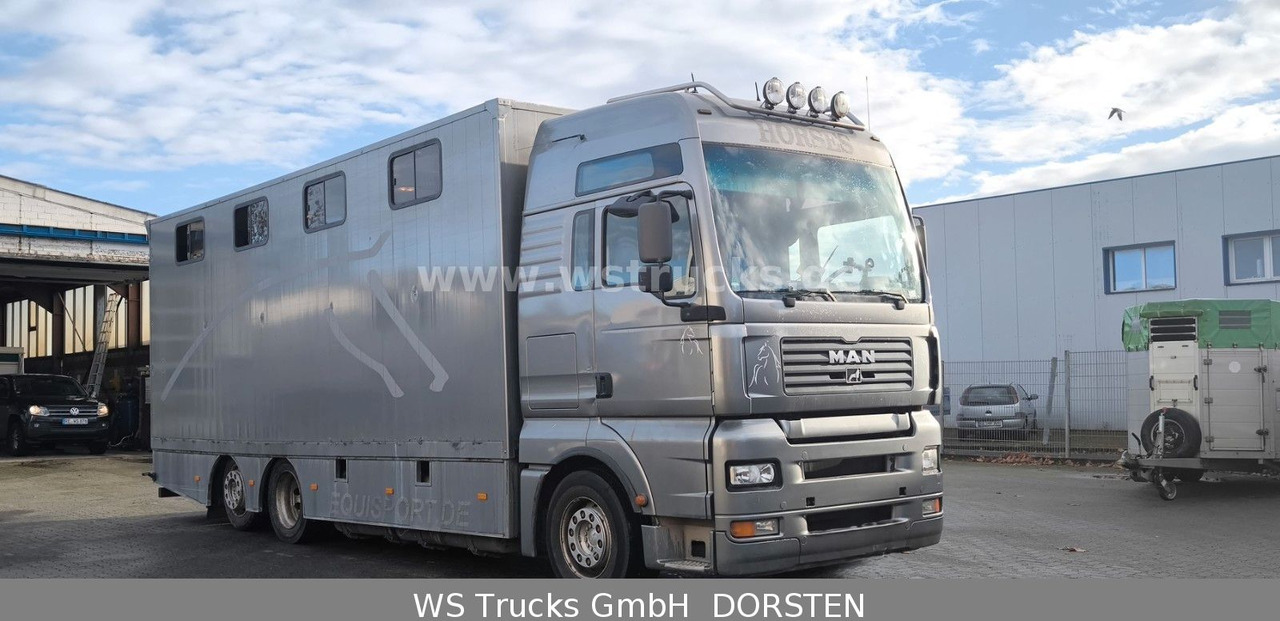 MAN TGA 26.480 FG 6x2 Pferdetransporter Luft/Luft - Камион за коне: снимка 3 MAN TGA 26.480 FG 6x2 Pferdetransporter Luft/Luft - Камион за коне: снимка 3