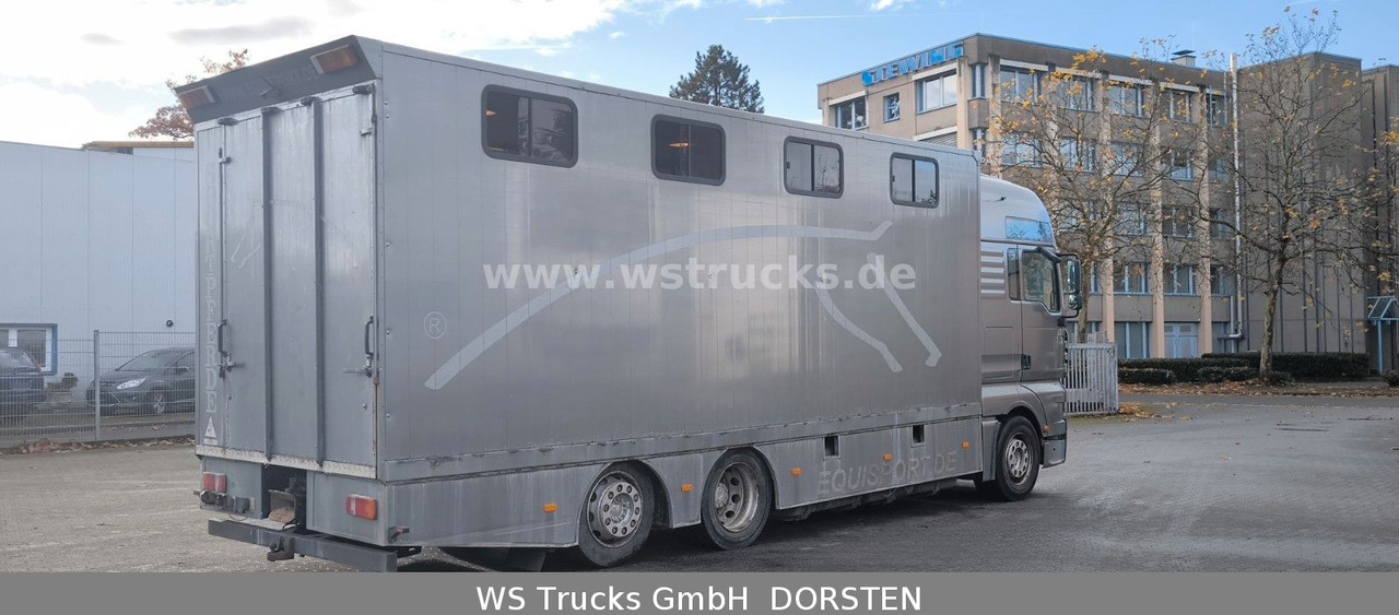 MAN TGA 26.480 FG 6x2 Pferdetransporter Luft/Luft - Камион за коне: снимка 4 MAN TGA 26.480 FG 6x2 Pferdetransporter Luft/Luft - Камион за коне: снимка 4