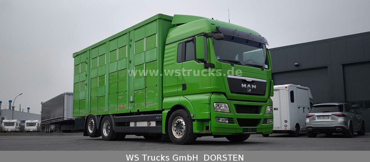 MAN TGX 26.480 XL KABA 3 Stock Viehtransporter - Камион за коне: снимка 4 MAN TGX 26.480 XL KABA 3 Stock Viehtransporter - Камион за коне: снимка 4