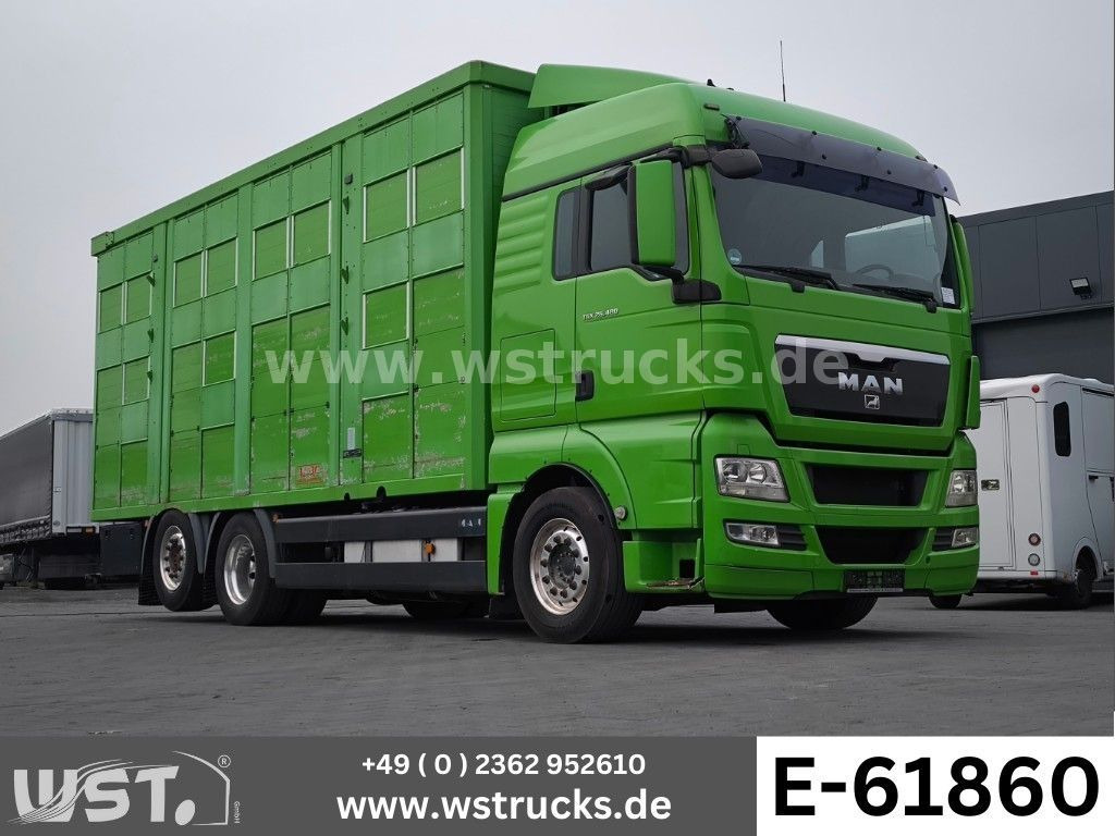 MAN TGX 26.480 XL KABA 3 Stock Vollalu - За превоз на животни камион: снимка 1 MAN TGX 26.480 XL KABA 3 Stock Vollalu - За превоз на животни камион: снимка 1