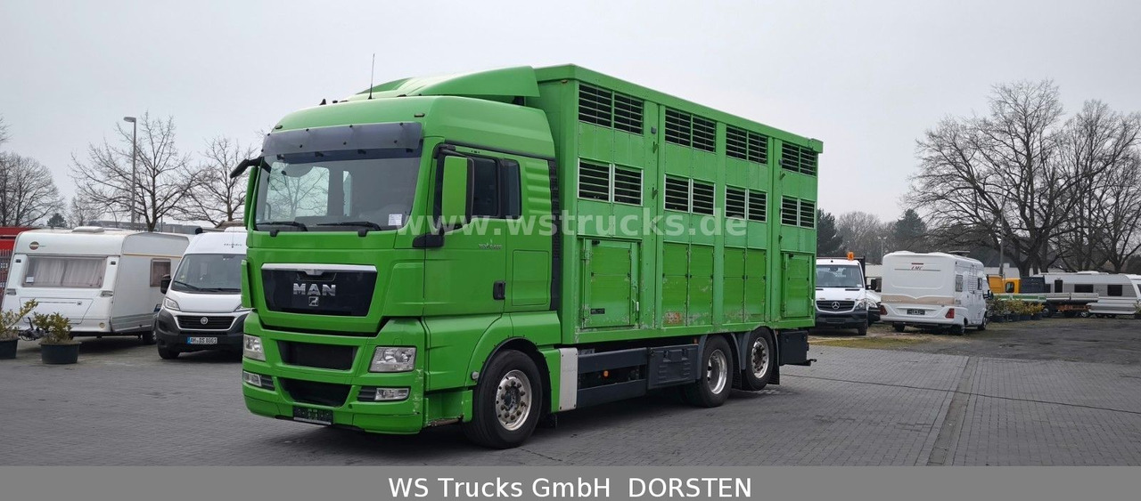 MAN TGX 26.480 XL KABA 3 Stock Vollalu - Камион за коне: снимка 2 MAN TGX 26.480 XL KABA 3 Stock Vollalu - Камион за коне: снимка 2