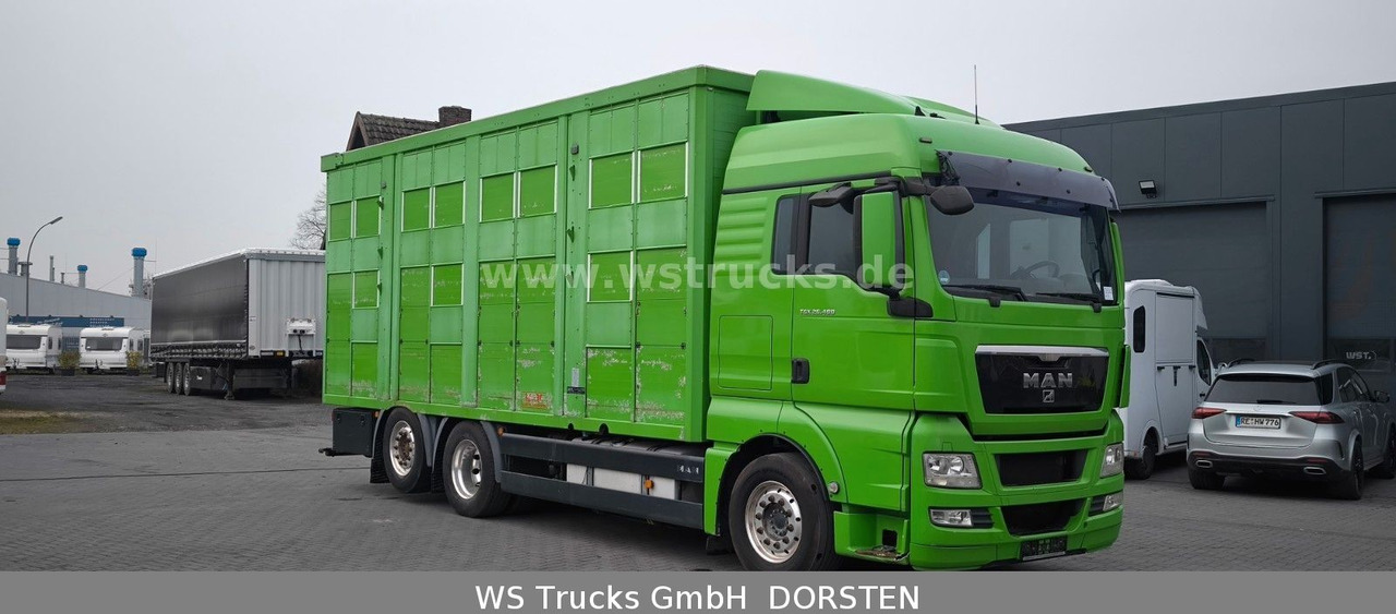 MAN TGX 26.480 XL KABA 3 Stock Vollalu - Камион за коне: снимка 3 MAN TGX 26.480 XL KABA 3 Stock Vollalu - Камион за коне: снимка 3