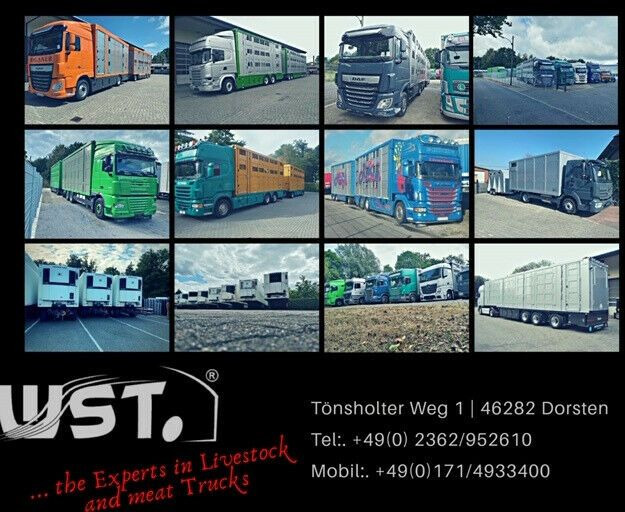 Рефрижератор полуремарке Schmitz Cargobull SKO 24 Kühlauflieger | Rohrbahn Vector 1850Mt: снимка 22