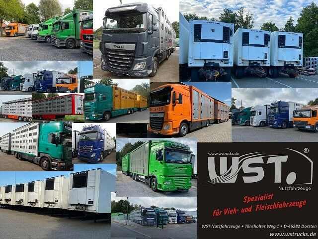 Рефрижератор полуремарке Schmitz Cargobull SKO 24 Kühlauflieger Vector 1550 Strom/Diesel: снимка 16