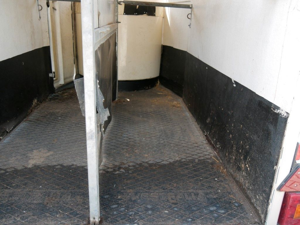 Westfalia Vollpoly 2 Pferde mit Sattelkammer - Ремарке за коне: снимка 5 Westfalia Vollpoly 2 Pferde mit Sattelkammer - Ремарке за коне: снимка 5