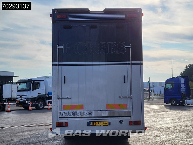 MAN FL 4X2 NL-Horsetruck 6 Horses with Living Pferdentransport Manual Euro 2 - Камион за коне: снимка 3 MAN FL 4X2 NL-Horsetruck 6 Horses with Living Pferdentransport Manual Euro 2 - Камион за коне: снимка 3