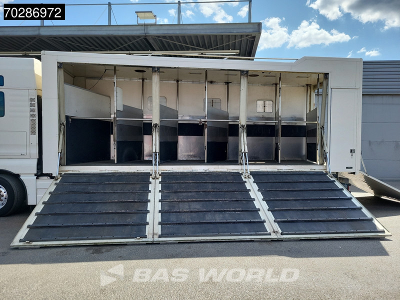 MAN TGX 26.480 TGX 6X2 NL-Truck BDF HorseTransport Lift+steering axle Standklima Automatic Xenon Alcoa´s Euro 5 - Контейнеровоз/ Сменна каросерия камион: снимка 3 MAN TGX 26.480 TGX 6X2 NL-Truck BDF HorseTransport Lift+steering axle Standklima Automatic Xenon Alcoa´s Euro 5 - Контейнеровоз/ Сменна каросерия камион: снимка 3