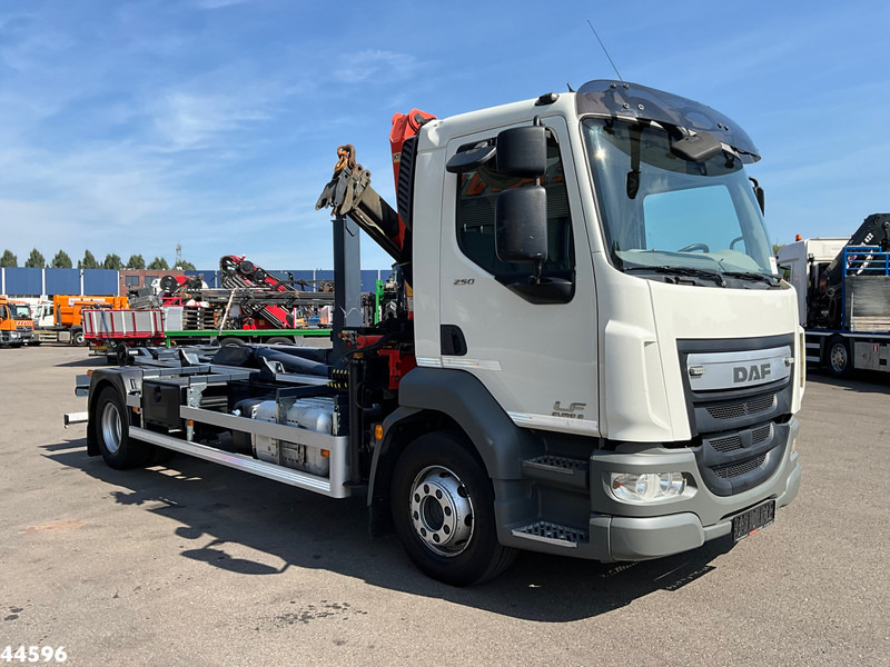 DAF FA LF 250 Euro 6 Palfinger 6,5 Tonmeter laadkraan - Мултилифт с кука камион, Камион с кран: снимка 3 DAF FA LF 250 Euro 6 Palfinger 6,5 Tonmeter laadkraan - Мултилифт с кука камион, Камион с кран: снимка 3